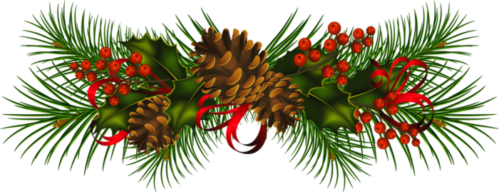 Transparent_Christmas_Pine_Cones_PNG_Clipart.png