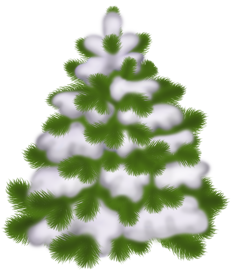 Transparent_Christmas_Snowy_Tree.png