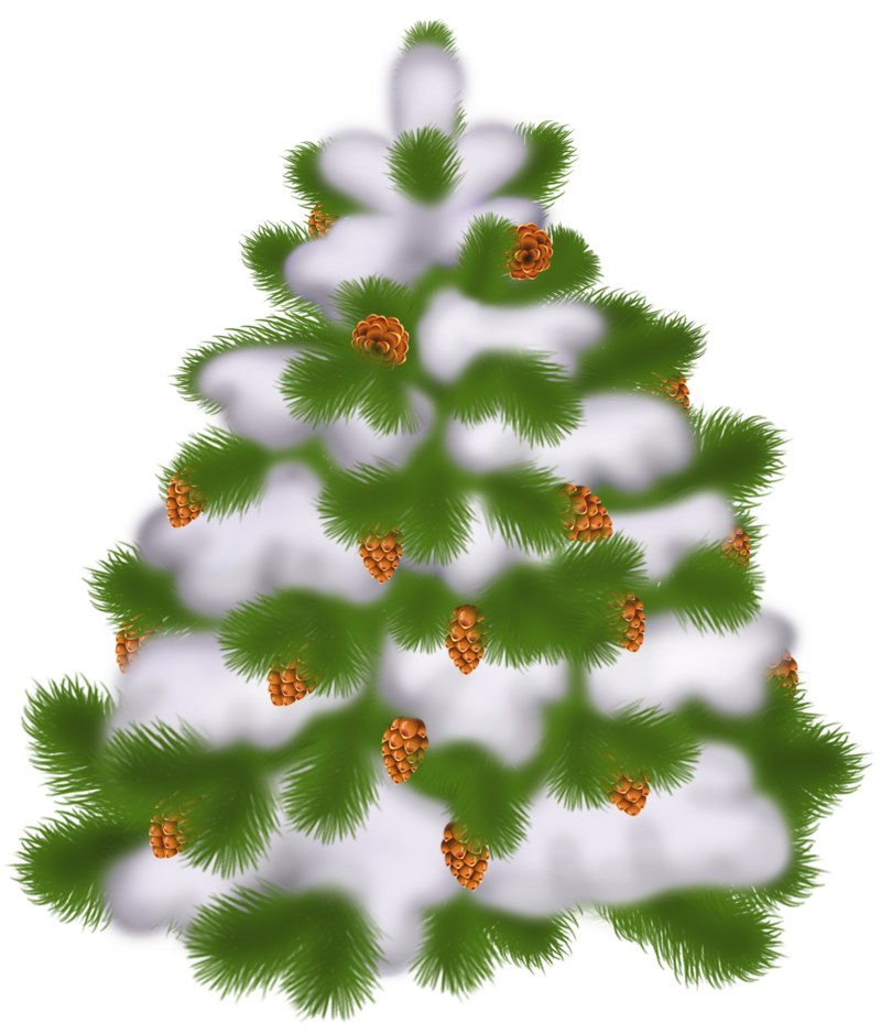 Transparent_Christmas_Tree_with_Cones.png