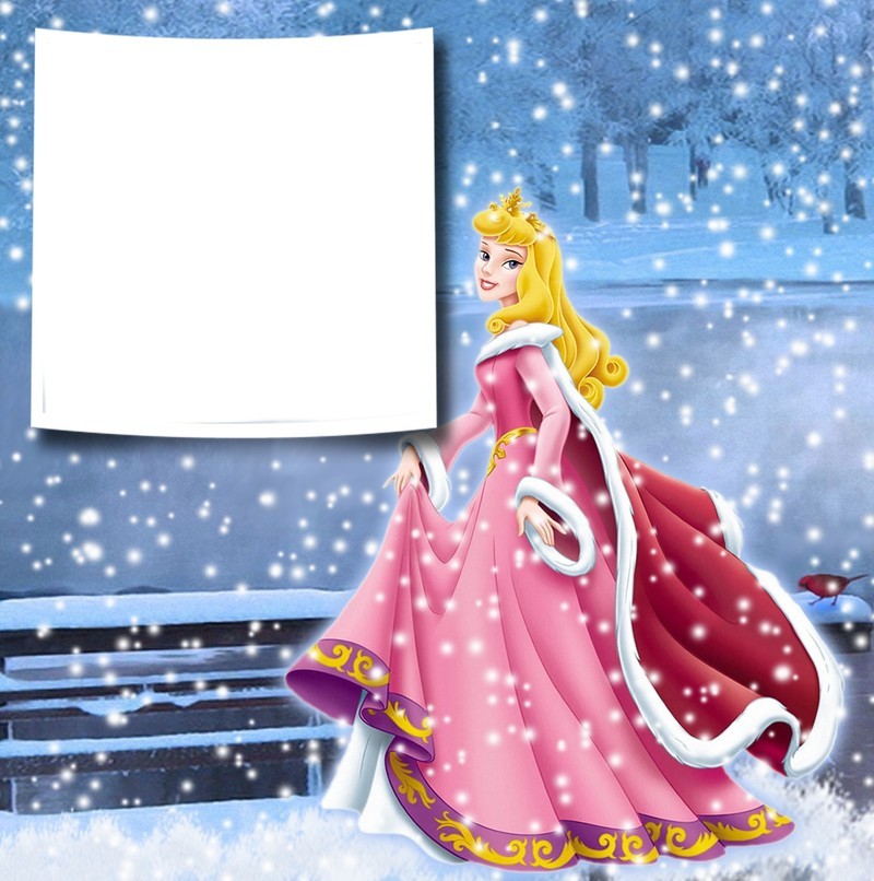 Transparent_Christmas_Winter_Princess_Aurora_PNG_Photo_Frame.jpg