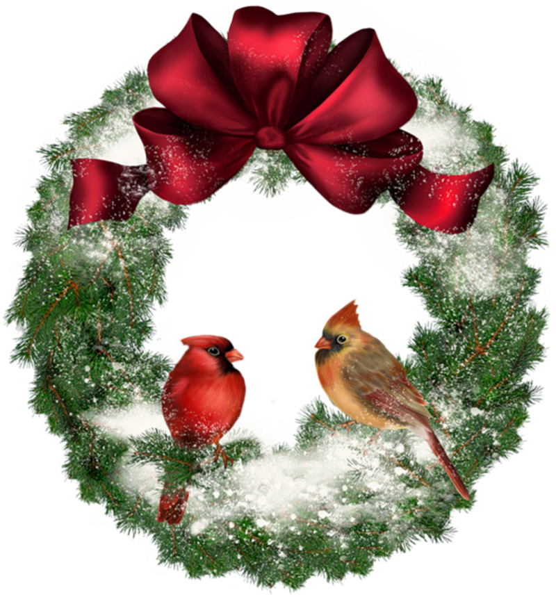 Transparent_Christmas_Wreath_with_Birds.png