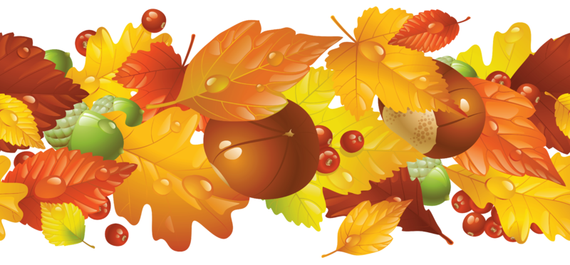 Transparent_Fall_Border_PNG_Clipart_Picture.png