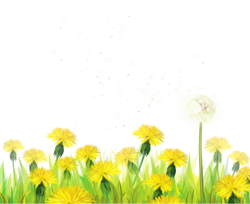 Transparent_Grass_with_Dandelions_Clipart.png