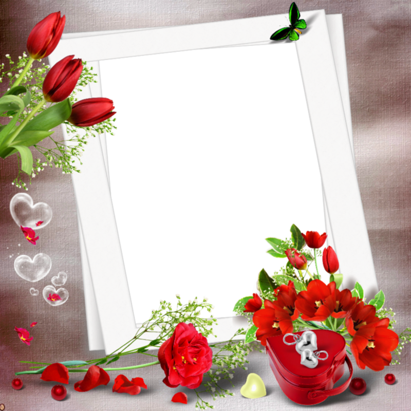 Transparent_Nice_PNG_Photo_Frame_with_Red_Flowers.png