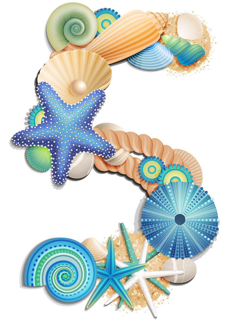 Transparent_Number_Five_Sea_Style_PNG_Clipart_Picture.png