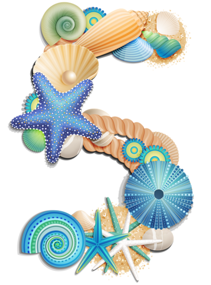 Transparent_Number_Five_Sea_Style_PNG_Clipart_Picture_1.png