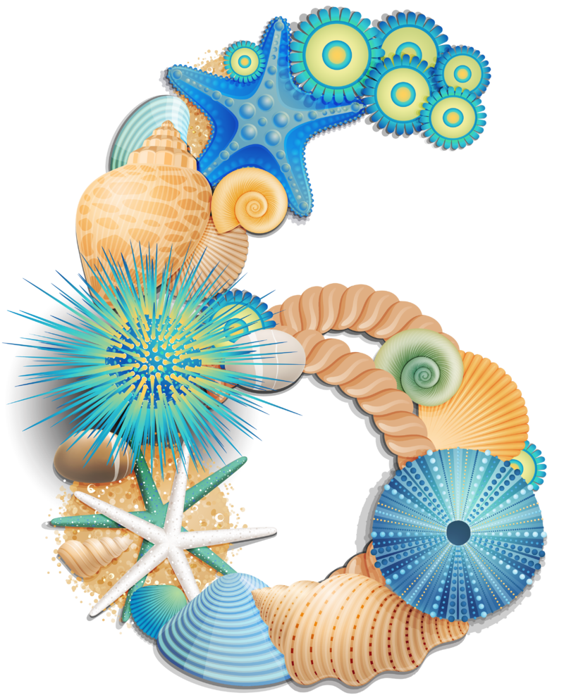Transparent_Number_Six_Sea_Style_PNG_Clipart_Picture.png