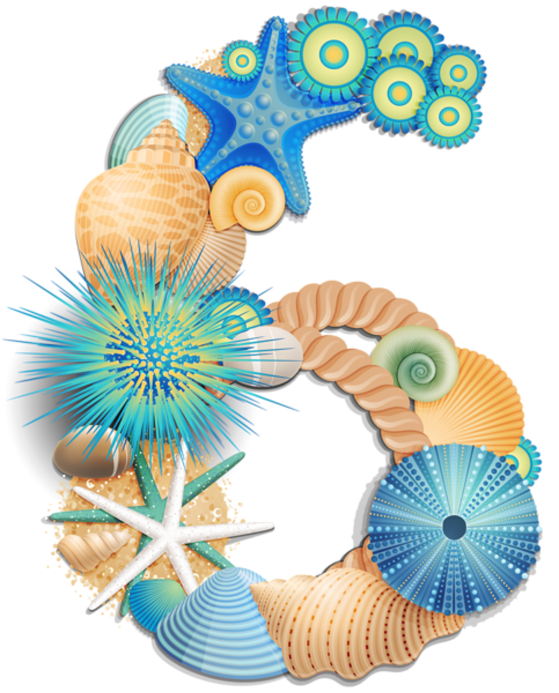 Transparent_Number_Six_Sea_Style_PNG_Clipart_Picture_1.png
