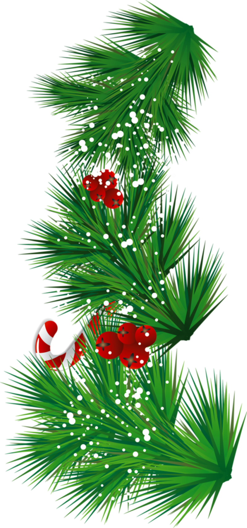 Transparent_Pine_Branch_with_Candy_Cane_and_Mistletoe_PNG_Clipart.png