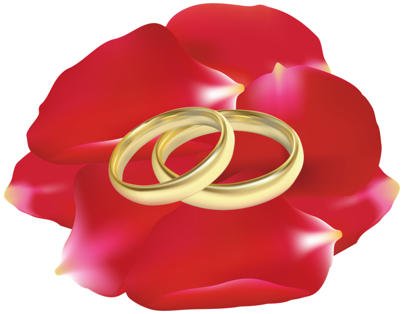 Wedding_Rings_in_Rose_Petals_PNG_Clip_Art-1700.png