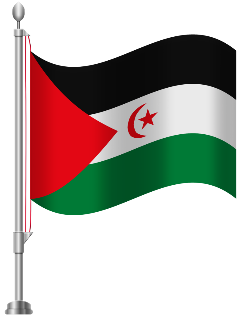 Western_Sahara_Flag_PNG_Clip_Art-1886.png