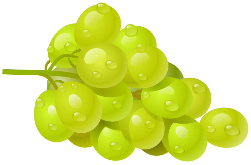 White_Grape_PNG_Clipart_Picture.png