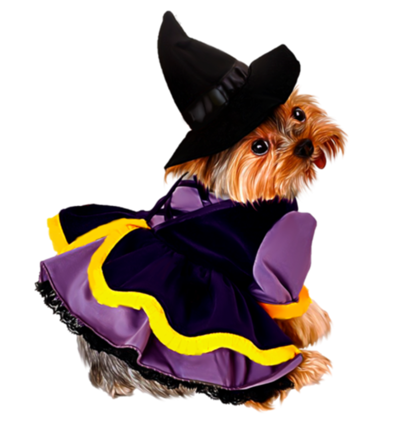 Witchdog0.png