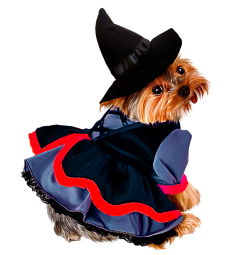 Witchdog1.png