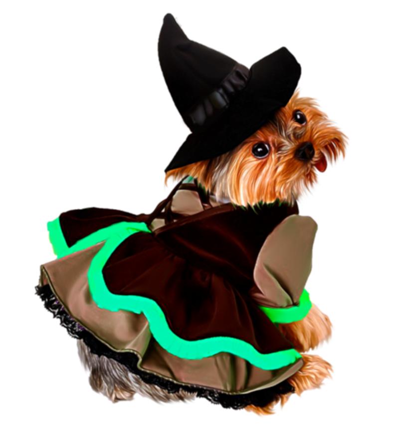 Witchdog2.png