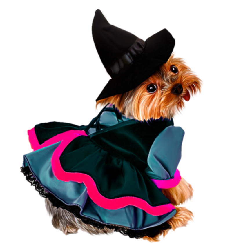 Witchdog3.png