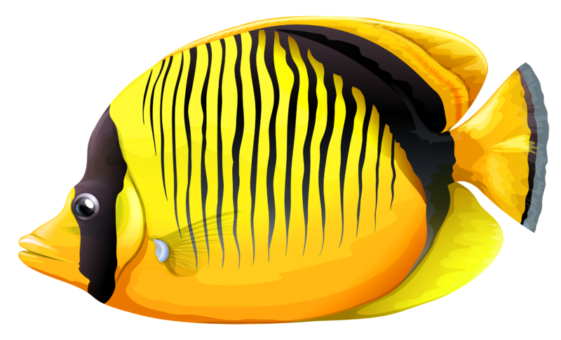 Yellow_Butterfly_Fish_PNG_Clipart-457.png