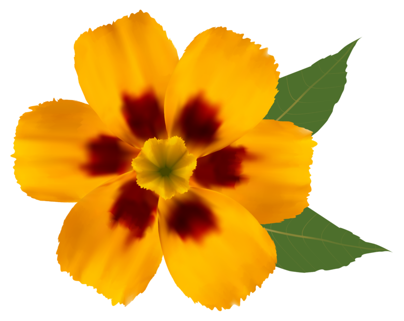 Yellow_Flower_PNG_Clipart_Image.png