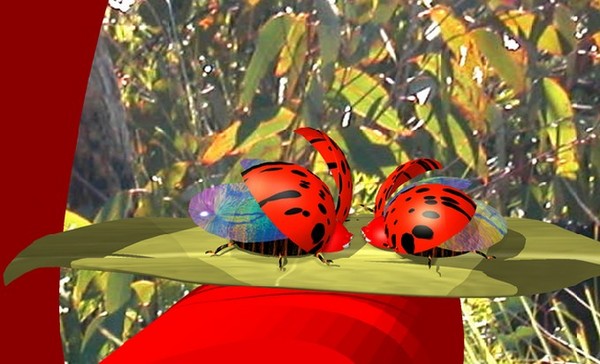 COCCINELLES