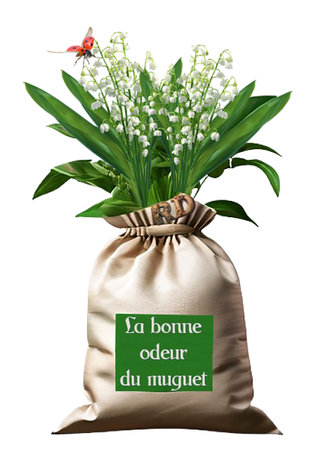 TUBE MUGUETS TEXTE