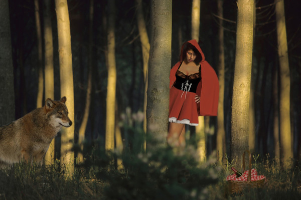 LE CHAPERON ROUGE