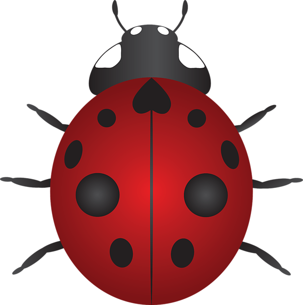 COCCINELLE 3