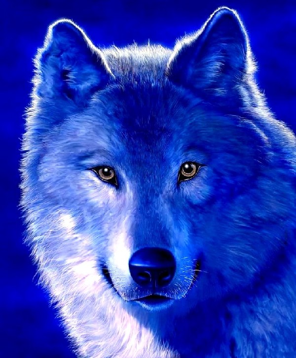 LOUP