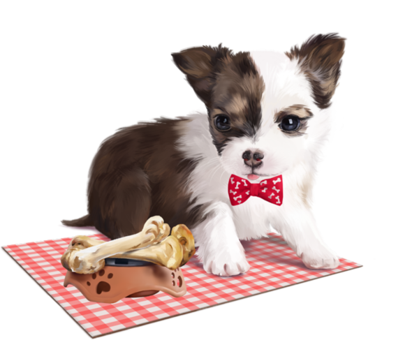 CHIEN 5