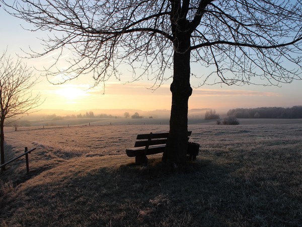 LE BANC 2