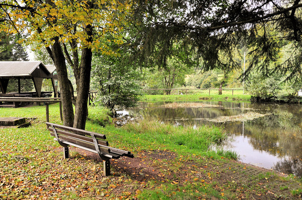 LE BANC