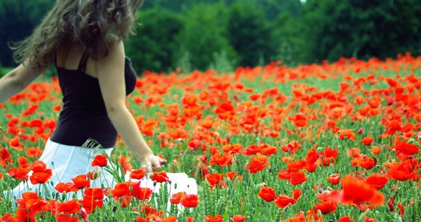 COQUELICOTS