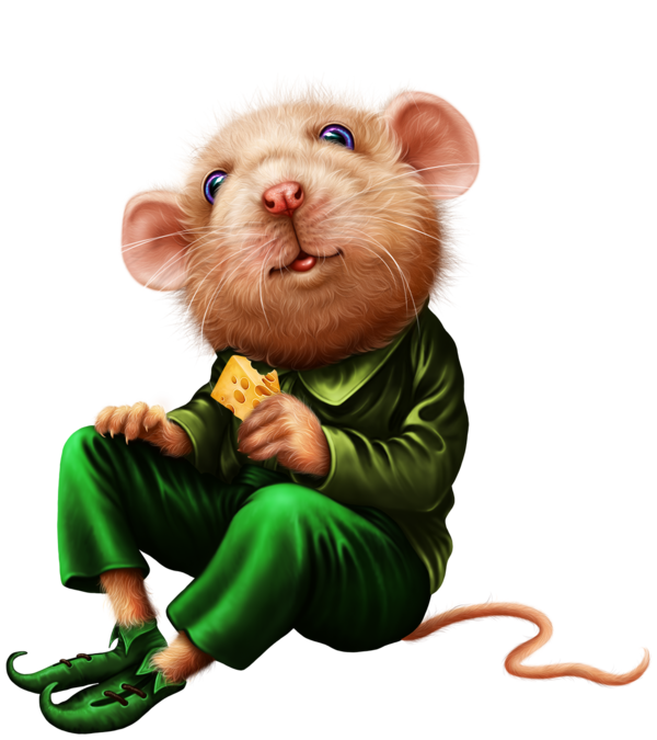 SOURIS RAT HAMSTER... 2