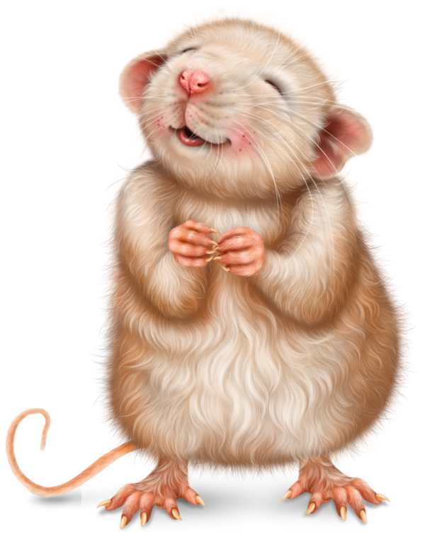 SOURIS RAT HAMSTER... 2