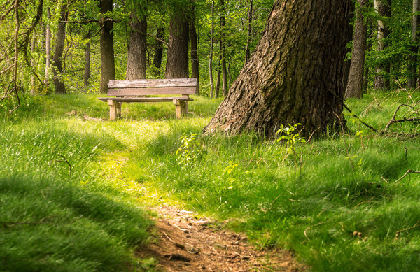 LE BANC