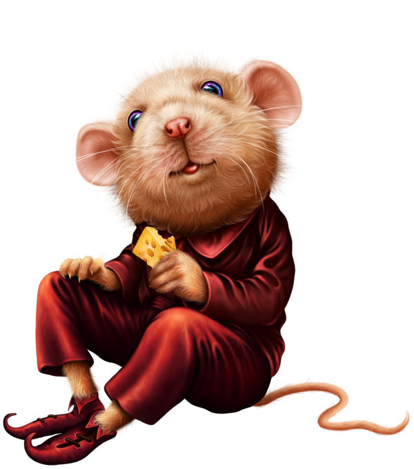 SOURIS RAT HAMSTER... 2