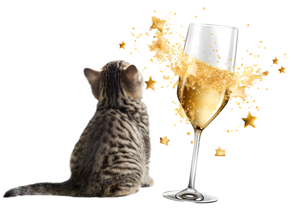 TUBE BONNE ANNEE ANIMAUX