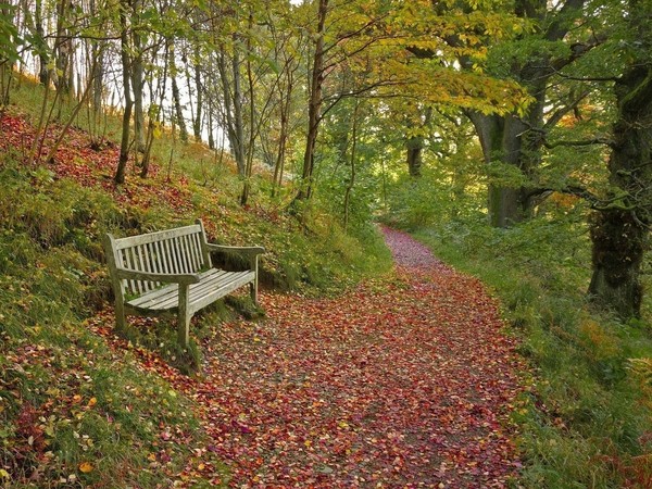 LE BANC