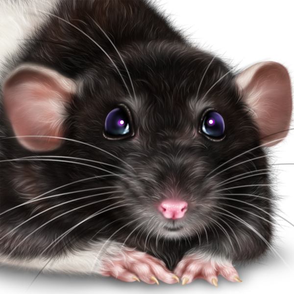 SOURIS RAT HAMSTER... 2