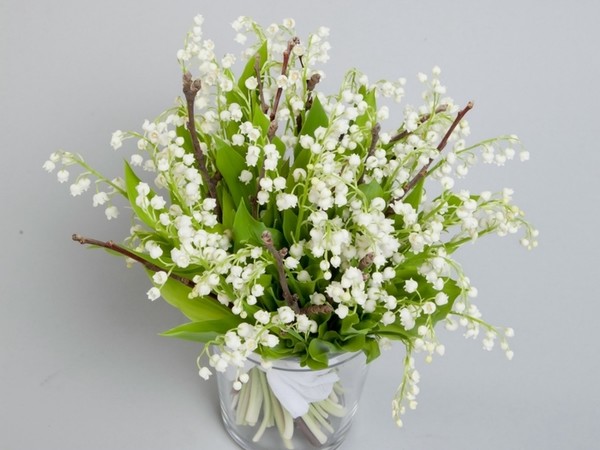 LE MUGUET