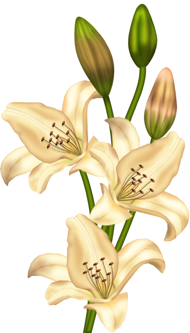 FLEURS 5