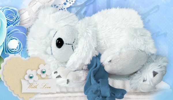 OURS EN PELUCHE