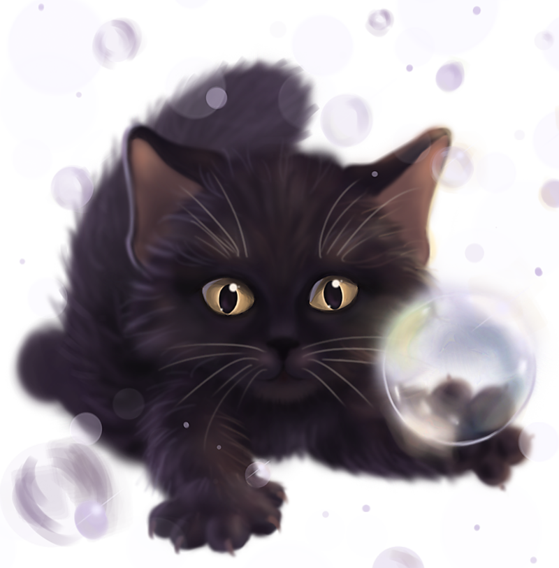 a_black_kitten.png