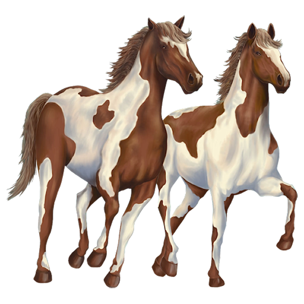 CHEVAUX 2