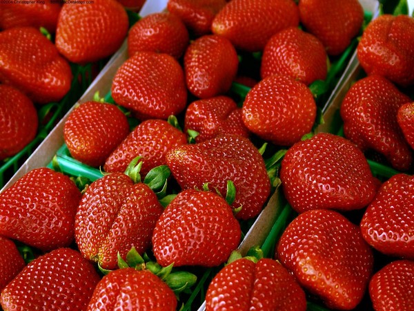 LES FRAISES