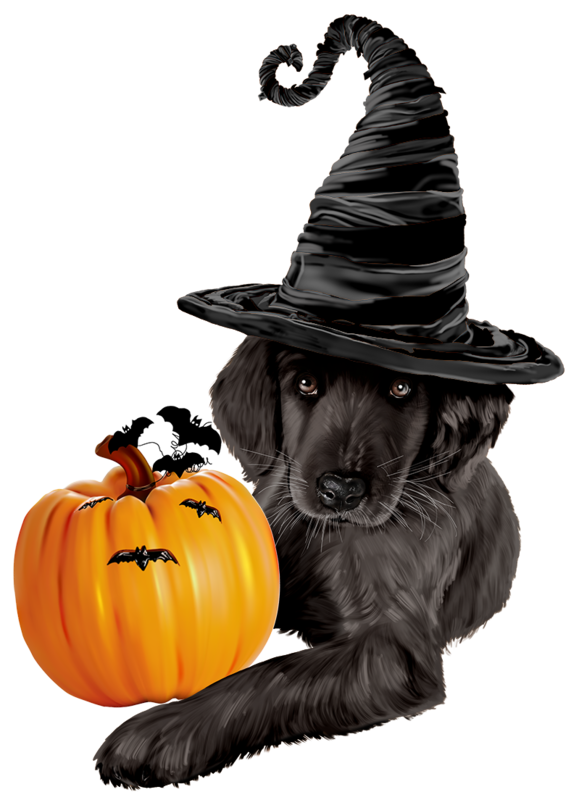 TUBE HALLOWEEN CHIEN