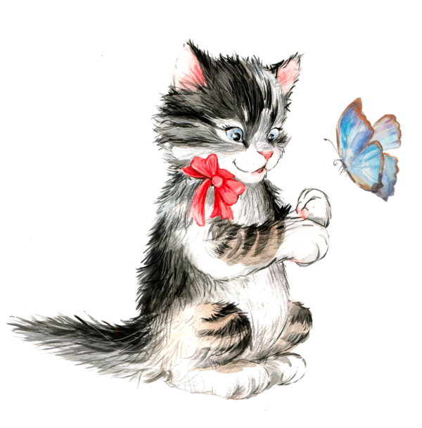 CHAT 7
