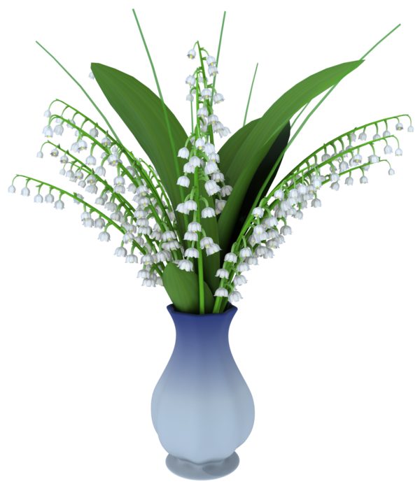 TUBE MUGUET
