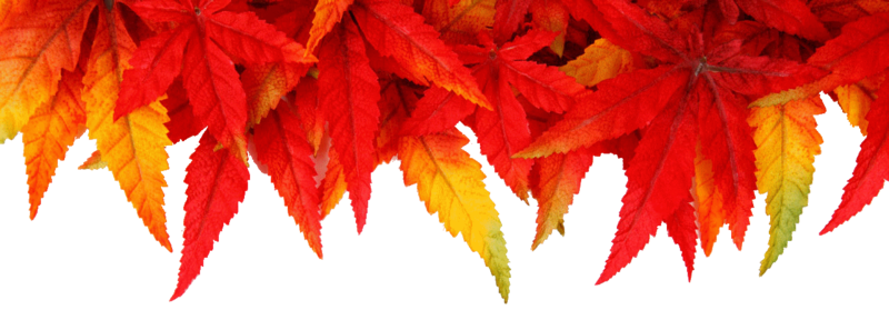 autumn-leaf-frame-11286977540BM6B_1.png