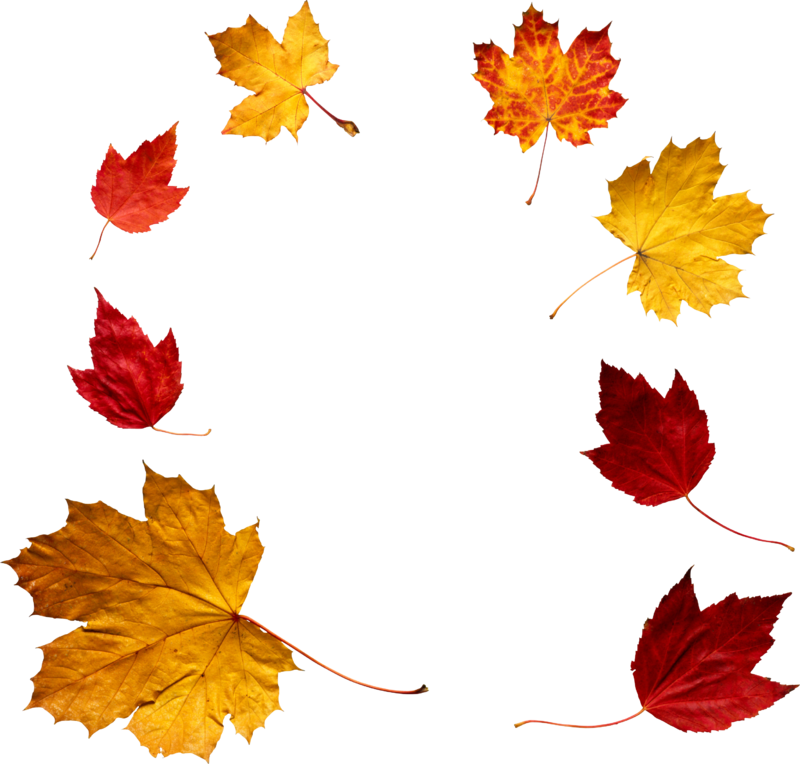 autumn_leaves_PNG3577.png