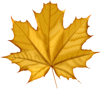 autumn_leaves_PNG3593.png